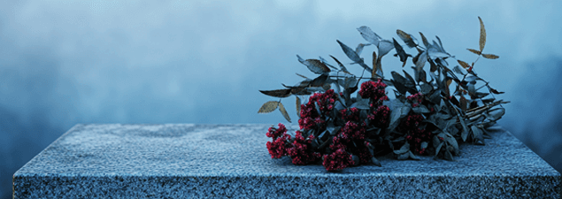 Plan Unveiling & Tombstone